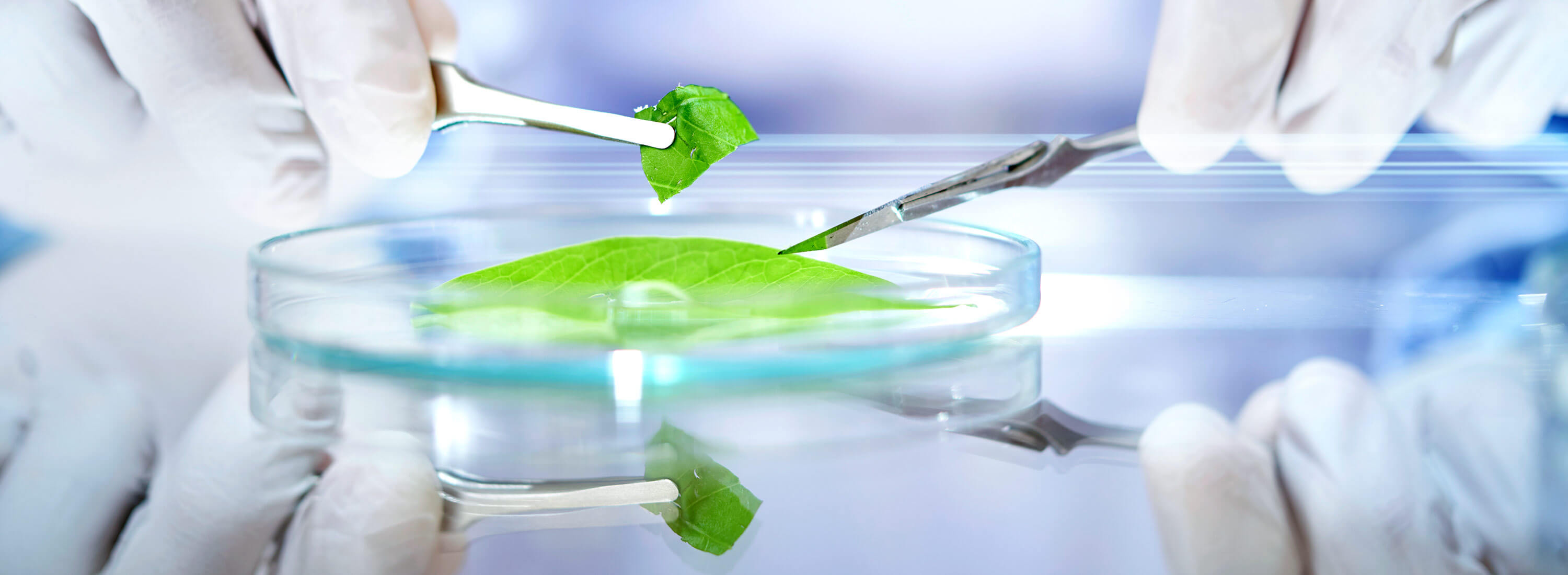 Descargar Caso de Estudio Peak Scientific de SEKO 