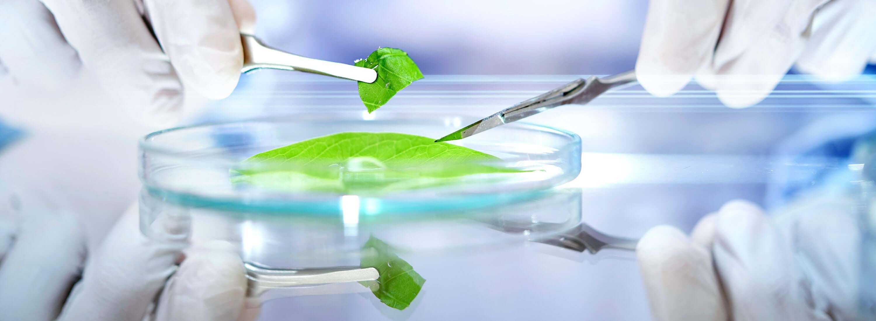 Descargar Caso de Estudio Peak Scientific de SEKO