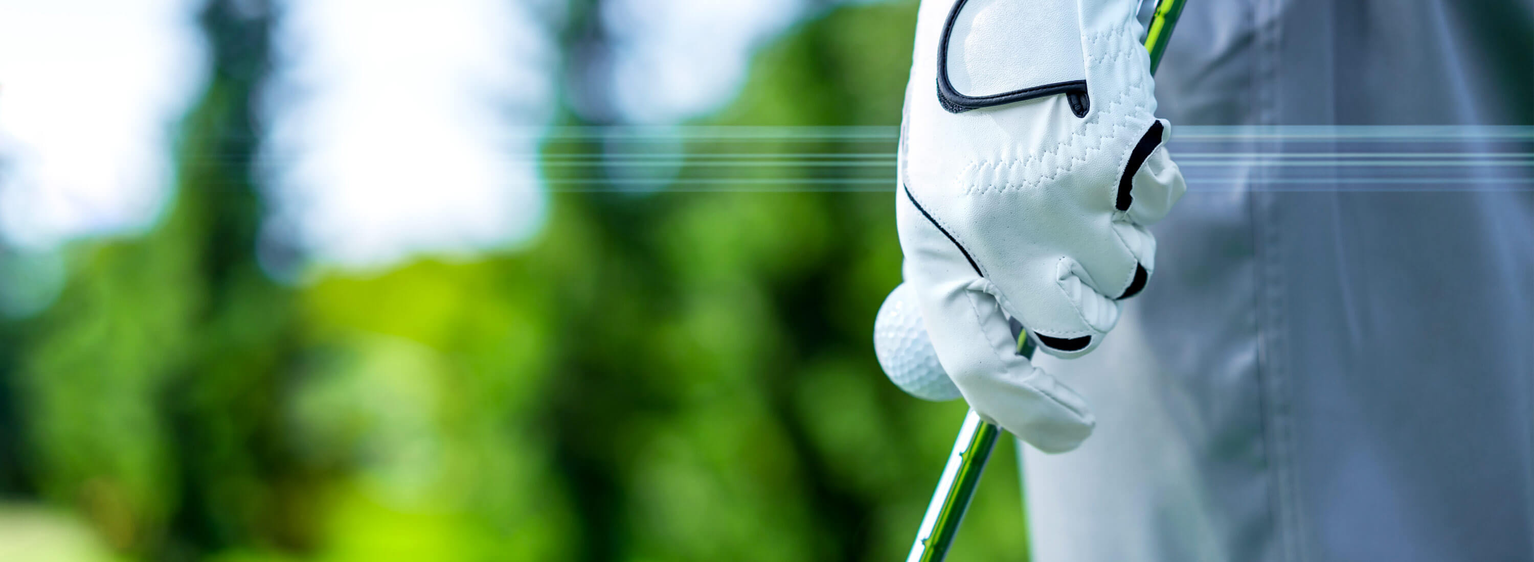 Descargar Caso de Estudio Trugolf de SEKO