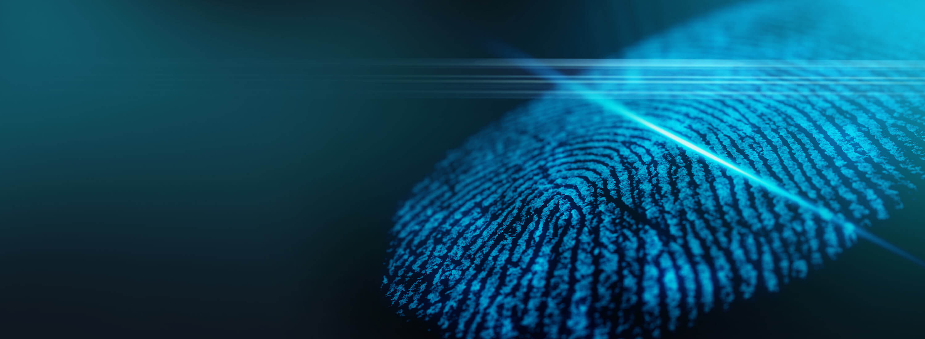 La experiencia de SEKO en Logística para el Sector Gobierno